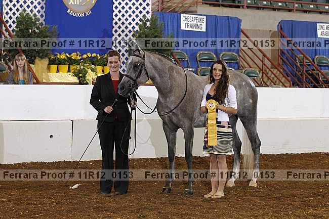 Proof 11r12_0153