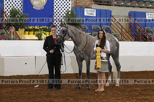 Proof 11r12_0154