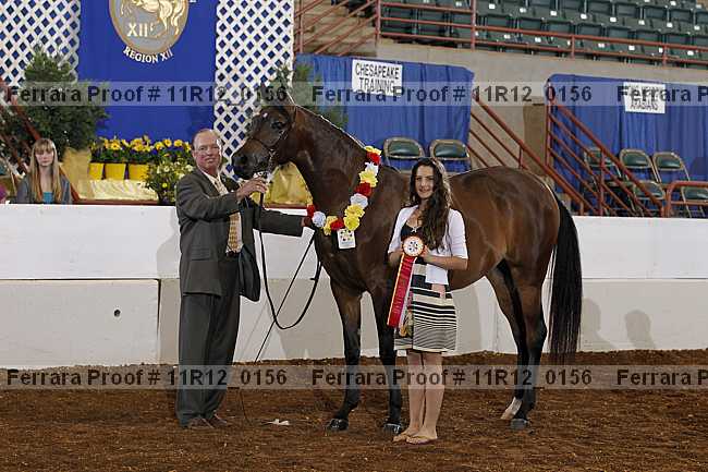 Proof 11r12_0156