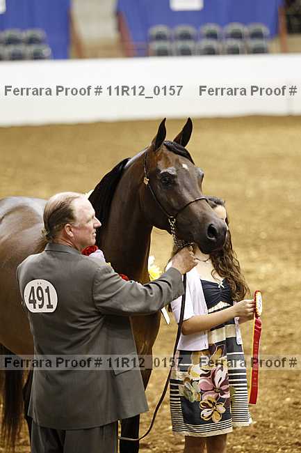 Proof 11r12_0157
