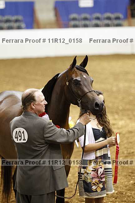 Proof 11r12_0158