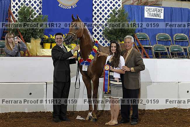 Proof 11r12_0159