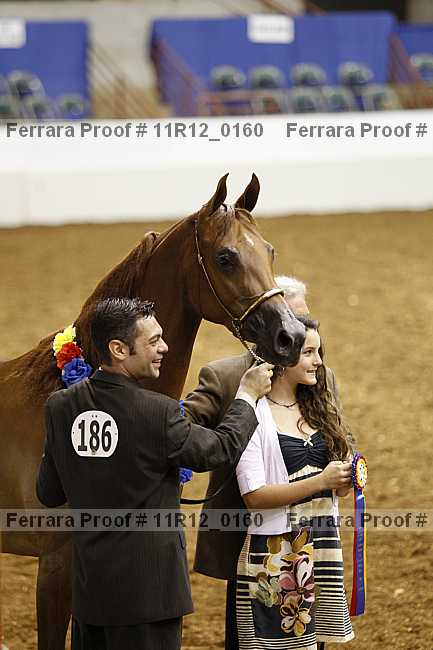 Proof 11r12_0160