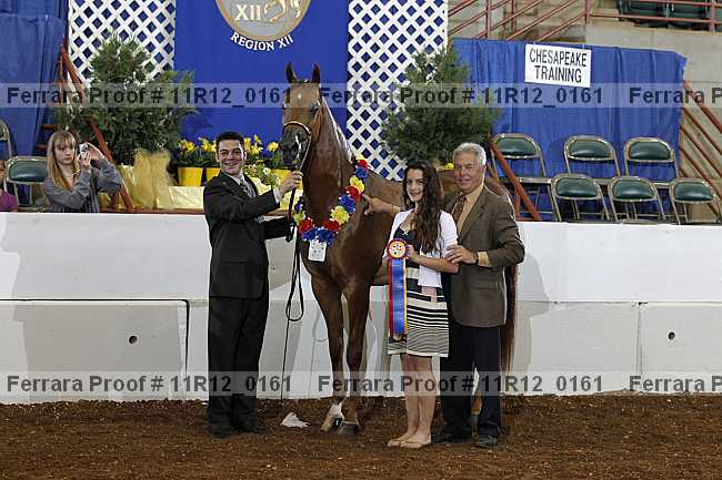 Proof 11r12_0161