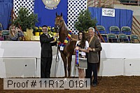 11r12_0161 proof