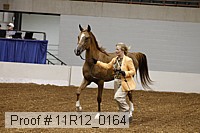 11r12_0164 proof