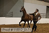 11r12_0171 proof