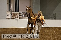 11r12_0175 proof
