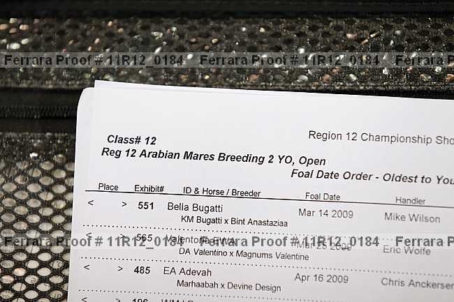 Proof 11r12_0184