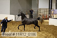 11r12_0186 proof