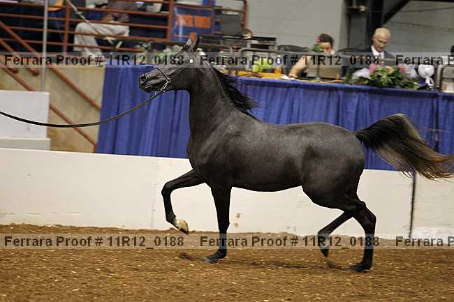 Proof 11r12_0188
