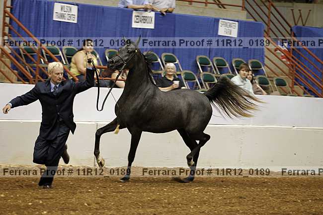 Proof 11r12_0189
