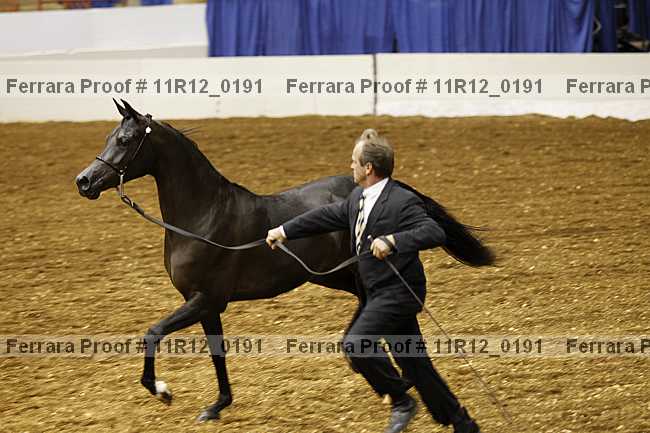 Proof 11r12_0191