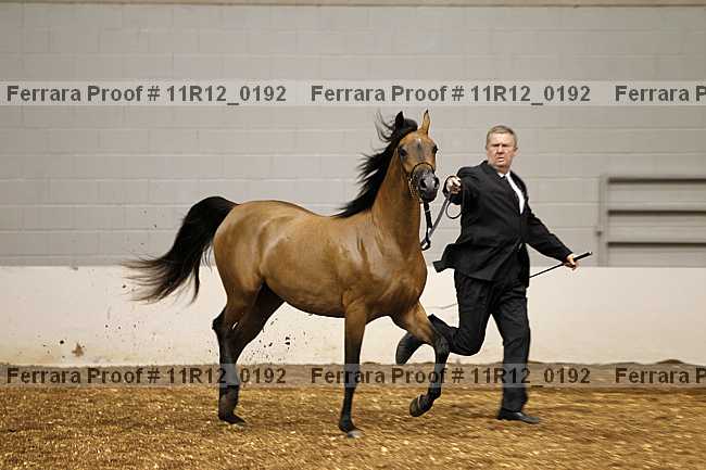 Proof 11r12_0192