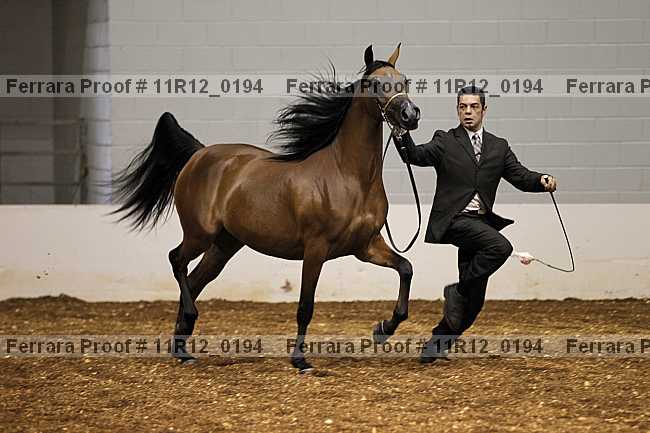 Proof 11r12_0194