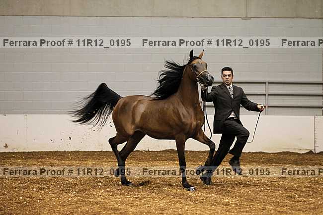 Proof 11r12_0195