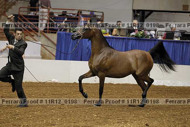 Proof 11r12_0198