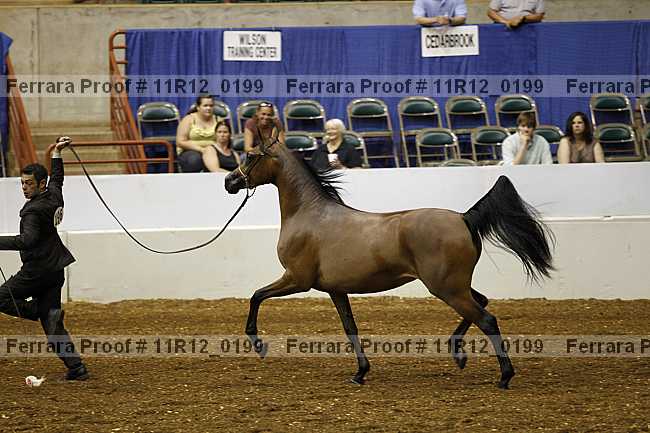 Proof 11r12_0199
