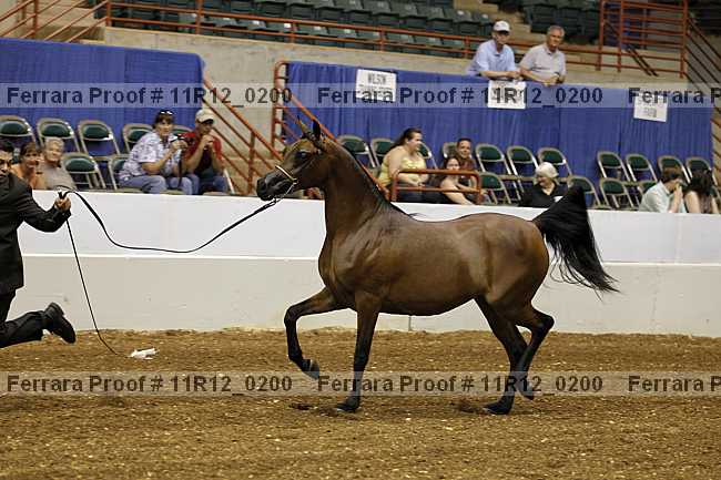 Proof 11r12_0200