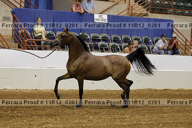 Proof 11r12_0201