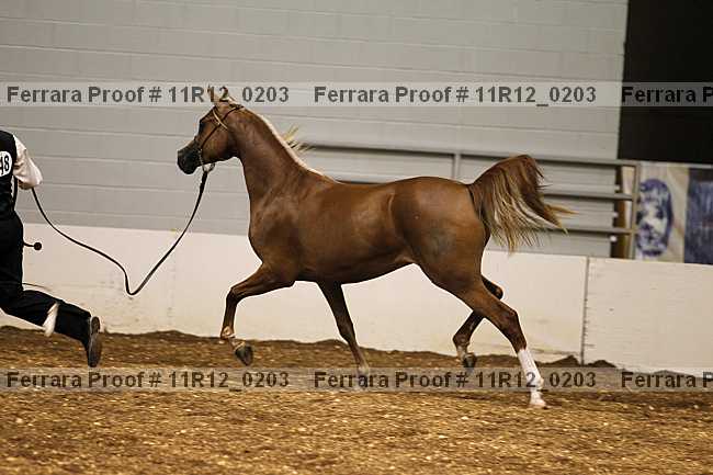 Proof 11r12_0203