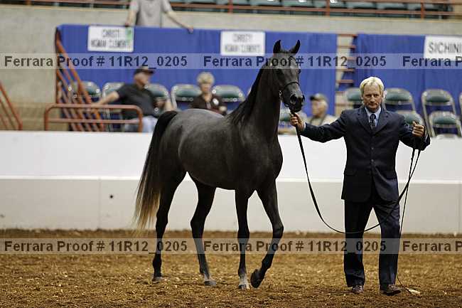 Proof 11r12_0205