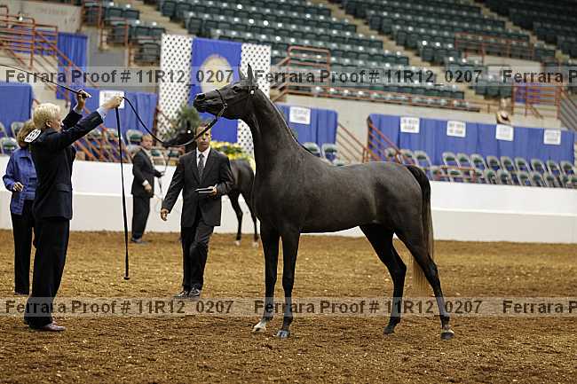 Proof 11r12_0207