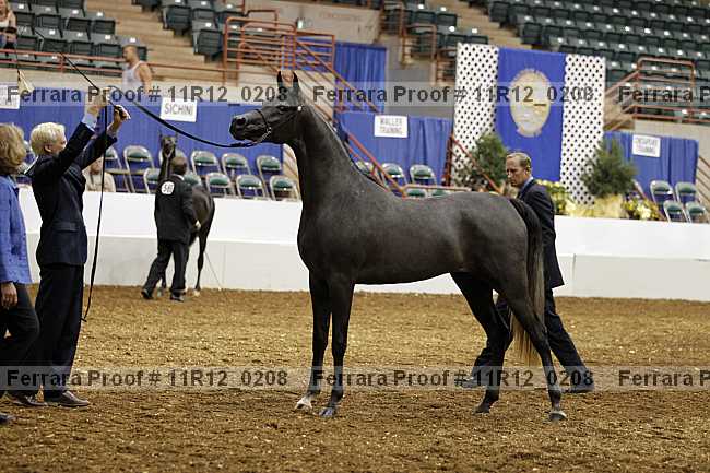 Proof 11r12_0208