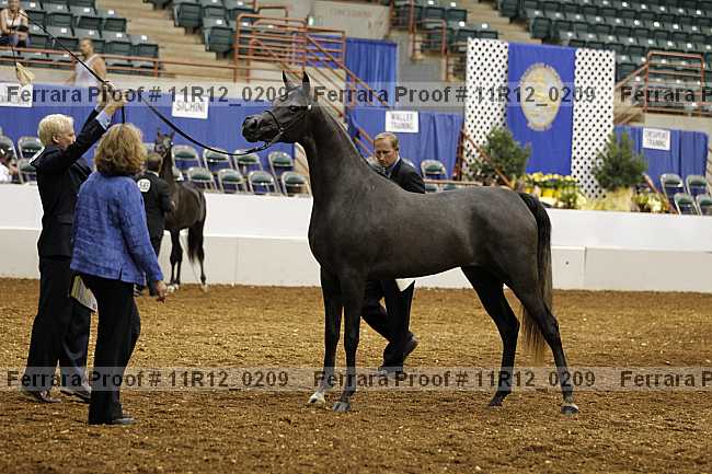 Proof 11r12_0209