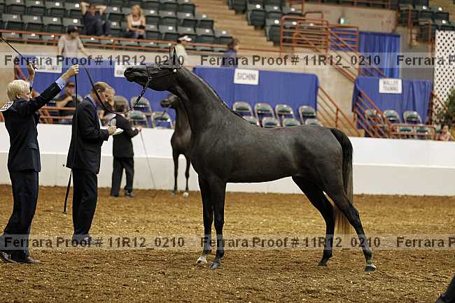 Proof 11r12_0210