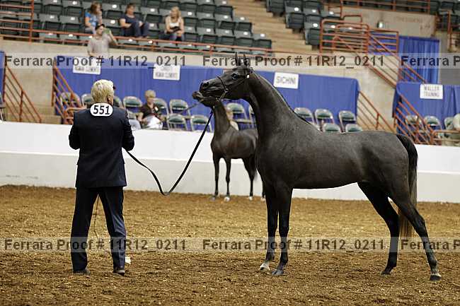 Proof 11r12_0211