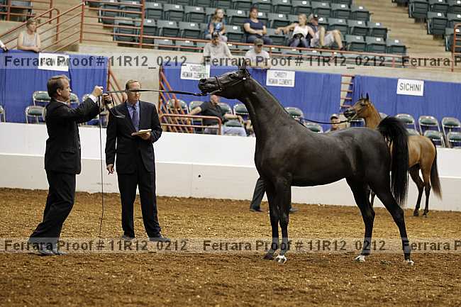 Proof 11r12_0212