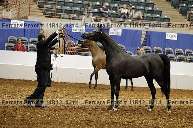Proof 11r12_0214