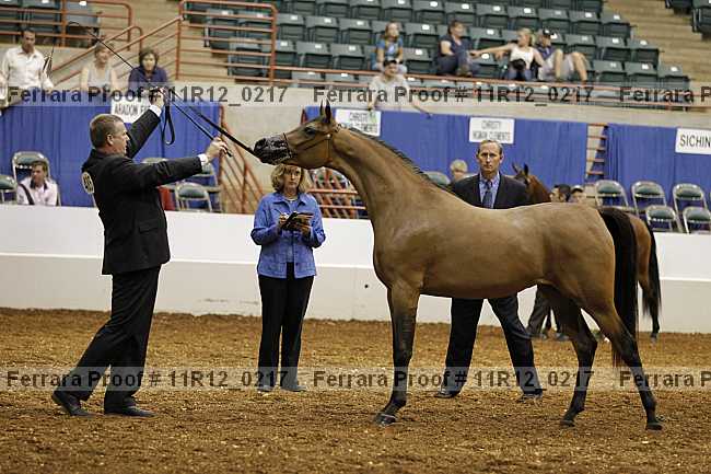 Proof 11r12_0217