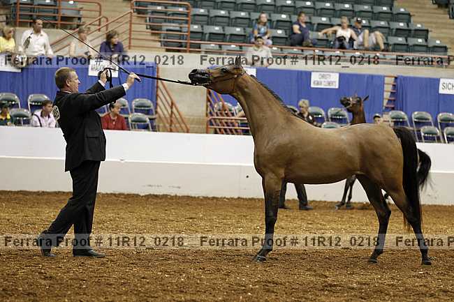 Proof 11r12_0218