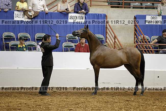 Proof 11r12_0219