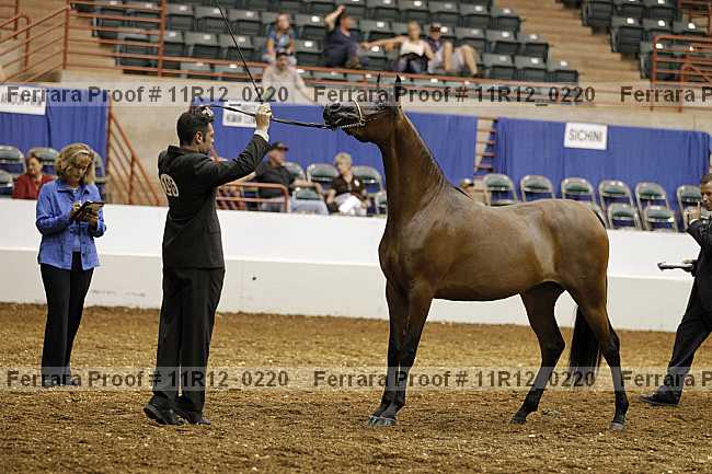 Proof 11r12_0220