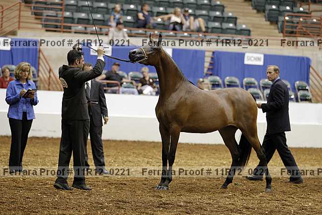 Proof 11r12_0221