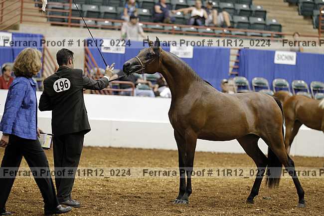 Proof 11r12_0224