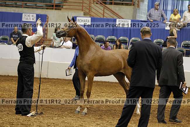 Proof 11r12_0225