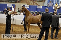 11r12_0225 proof