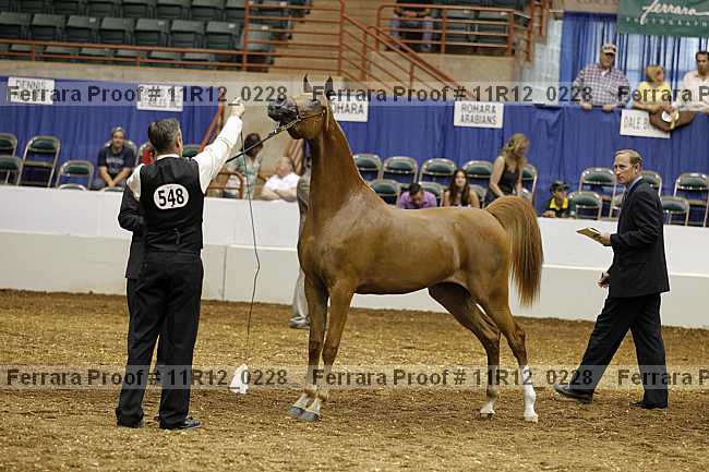 Proof 11r12_0228