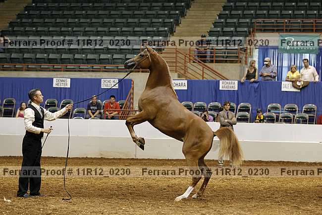 Proof 11r12_0230