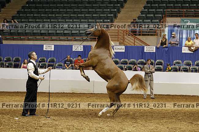 Proof 11r12_0231