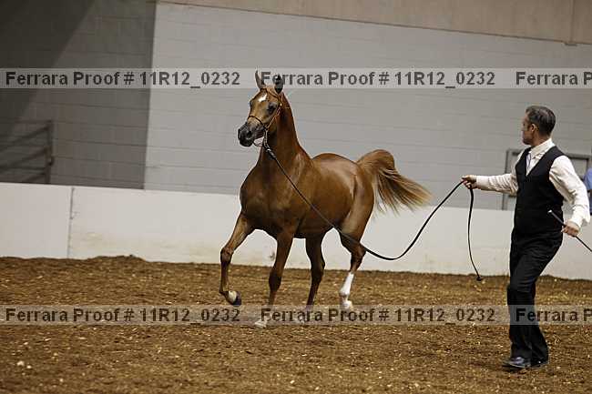 Proof 11r12_0232