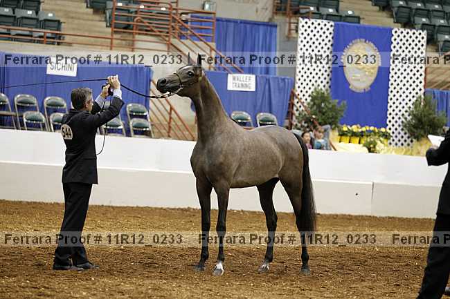 Proof 11r12_0233