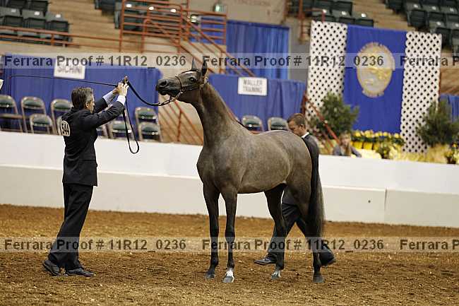 Proof 11r12_0236