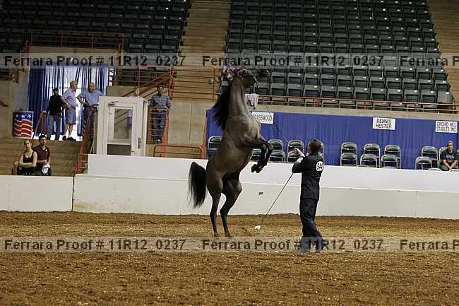 Proof 11r12_0237