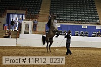 11r12_0237 proof