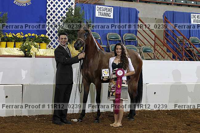 Proof 11r12_0239